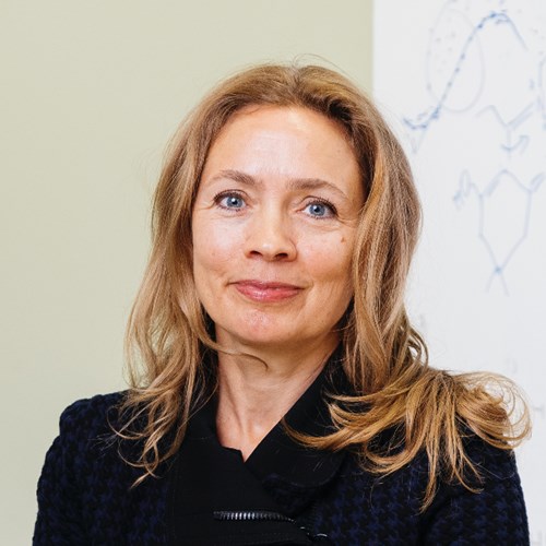 Professor Kristin Persson